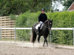 270820_10150929545458585_973559507_n_web